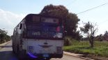 ouwe daf bus in Cuba